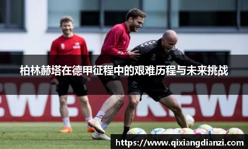 米兰体育官网