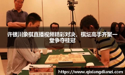 许银川象棋直播视频精彩对决，棋坛高手齐聚一堂争夺桂冠